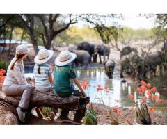 Family Friendly Safari Lodges in Kenya